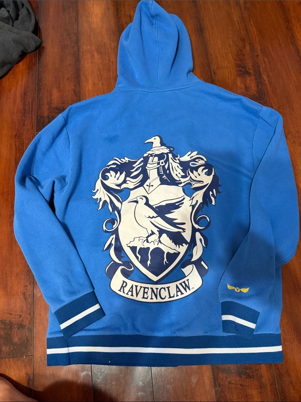 Harry Potter Wizarding World Blue Hoodie - XL